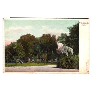 A California Park Vintage Postcard M. Rieder Publisher Los Angeles Leipzig 3377